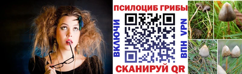 МЕГА сайт Лаишево Псилоцибиновые грибы Psilocybine cubensis